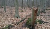 Tour Zu Fuß Kreuzwald - Circuit Etangs et Lacs - Photo 5