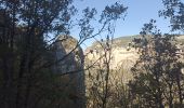 Trail Walking Peyreleau - belle rando dans les Cevennes  - Photo 18