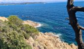 Tocht Stappen Ramatuelle - bonne terrasse Camarat - Photo 5