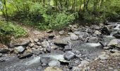 Trail Walking Sallanches - J12 - R10 - Cascade de l'Arpenaz, les lacs des Îlettes et Luzier - Photo 2