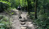 Excursión Senderismo Ohey - Variante petit pont bois d’Ohey - Photo 4