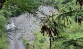 Trail Walking Entre-Deux - fond de la rivière - pont de liane - Photo 2