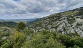 Excursión Senderismo Auriol - le ravin des Encanaux - Photo 6