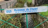 Trail Walking Aywaille - Boucle Aywaille - Photo 6