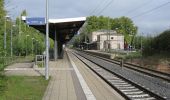 Percorso A piedi Bad Sooden-Allendorf - Rundweg Nr.15 