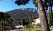 Trail Walking La Valette-du-Var - La Ripelle-24-03-21 - Photo 1