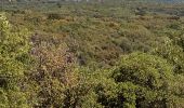 Tocht Stappen Le Garn - Tarn ardeche - Photo 1