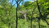 Trail Walking Jaujac - ARDECHE,  JAUJAC. .PONT DE L ECHELLE O - Photo 11