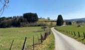 Tocht Stappen Neufchâteau - Neufchateau 25 km - Photo 12