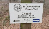 Percorso Marcia Houffalize - promenade du hérou - Photo 9