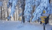 Trail Snowshoes Sarcenas - Le  Mont Fromage et ses crêtes - Photo 9