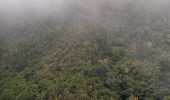 Excursión A pie Tegueste - El bosque de los enigmas - Photo 1