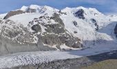 Trail On foot Pontresina - Morteratsch-chamanna da Boval - Photo 7