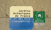 Randonnée A pied Saint-Jean-des-Vignes - De Bagnols à Lozanne - Photo 6
