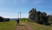 Trail Nordic walking Le Puech - Les Hémies 10 Mars 2021 - Photo 13