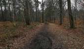 Trail Walking Saint-Ghislain - La mer de sable  - Photo 3