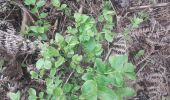 Randonnée Marche La Haye-de-Routot - La Haye de Routot - Photo 1