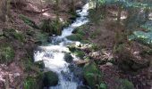 Tour Wandern Walscheid - Elsassblick,Refuge des Bûcherons, Altmatt,M.F. du Grossmann  - Photo 4