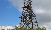 Tour Zu Fuß Mechernich - EifelSchleife Eickser Busch - Photo 5