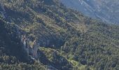 Randonnée Marche La Bastide - LA BASTIDE - DU BROUIS A L'ARTUBY - Photo 19