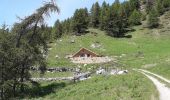 Tour Wandern Freissinières - Fressiniere  les Roberts  Lac de la Lauze - Photo 6