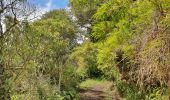 Randonnée Marche Baños de Agua Santa - Baños - Casa del Arbol - Photo 17