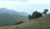Tocht Te voet Onbekend - Gârnic – Ravensca – Valea Izvorul Lung – Poiana Debeliliug – Bigăr – Poiana Ravna – Dubova (red stripe) - Photo 1