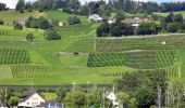 Percorso A piedi Stäfa - Stäfa. Ein Dorf bewegt: Mutzmalen - Lattenberg - Photo 4