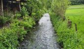 Tocht Stappen Houffalize - Engreux 080625 - Photo 12
