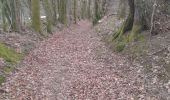 Trail Walking Libin - parcours de 10km. Reconnaissance des différents parcours de la marche ADEPS Points Verts à  Villance. - Photo 1