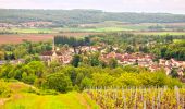 Randonnée Marche Château-Thierry - Le chemin de St Colomban en IDF Etape 1 Chateau Thierry - Nanteuil sur Marne - Photo 11