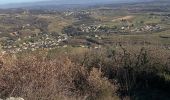 Trail  Tain-l'Hermitage - Pierre Aiguille Tain l’Hermitage  - Photo 3