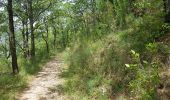 Tocht Noords wandelen Saint-Étienne-de-Gourgas - Aubaïgues - Mas Caisso - Roc de l'Eglise - Photo 3