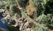 Trail Walking Vallées-d'Antraigues-Asperjoc - Antraigues - Photo 13