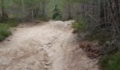 Trail Walking Le Malzieu-Ville - LE MALZIEU - APCHER  - Photo 16