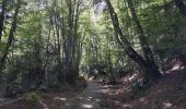 Randonnée Marche Erro - Compostelle - Camino Frances : J3 de Espinal à Zabaldika - Photo 1