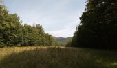 Excursión Senderismo Sentheim - Sentheim - Col du Schirm - Buissonniers - Kohlberg - Photo 1