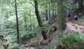 Trail Walking Le Valtin - Le Sentier des Roches - Photo 3