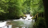 Trail Walking Mouthier-Haute-Pierre - Gorges de Nouailles - Source de la Loue - Photo 8