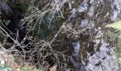 Trail Walking Vallon-Pont-d'Arc - Boucle des grottes  Pont d'arc - Photo 13