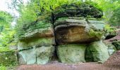 Tour Zu Fuß Bad Arolsen - Bad Arolsen Wanderweg S6 - Photo 2