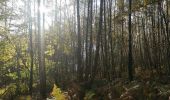 Trail Walking Yvoir - GODINNE ... balade des feuilles mortes. - Photo 8