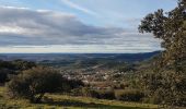 Trail Walking Lieuran-Cabrières - Balcons volcaniques - Photo 15