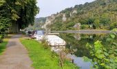 Tour Wandern Dinant - Anseremme - Freyr - Walzin - Photo 17