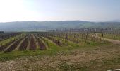 Randonnée Marche Dahlenheim - Circuit du Rutscherle variante - Photo 14