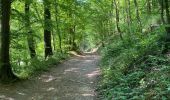 Trail Walking Montigny-le-Tilleul - Balade dominicale avec Brigitte  - Photo 3