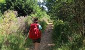 Excursión Senderismo Olby - J3 : Olby - lac de Servières - Photo 10