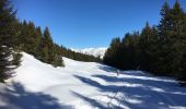 Tour Schneeschuhwandern Manigod - La Croix Colomban - Photo 1