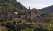 Trail Walking Baume-les-Messieurs - Le tour du Cirque de Baume-les-Messieurs - Photo 4