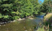 Tour Wandern Kiischpelt - Escapardenne Eisleck Trail: Kautenbach - Clervaux - Photo 9